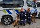 Valsts policija ar dienesta suņiem Marko un Yaro kādā izglītības iestādē Kuldīgā veic pārbaudes