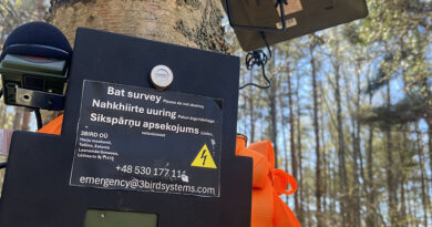 Kurzemes piekrastē identificētas deviņas sikspārņu sugas Kurzemes piekrastē identificētas deviņas sikspārņu sugas