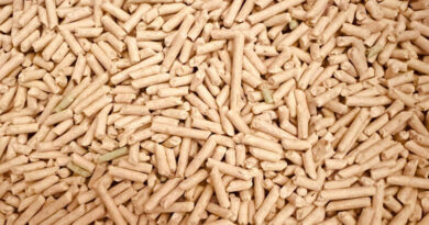 Ziemas nav, bet cenas kāpj: granulu tirgu sāk ietekmēt izejmateriālu deficīts Ziemas nav, bet cenas kāpj: granulu tirgu sāk ietekmēt izejmateriālu deficīts