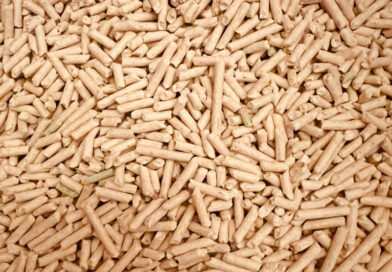 Ziemas nav, bet cenas kāpj: granulu tirgu sāk ietekmēt izejmateriālu deficīts Ziemas nav, bet cenas kāpj: granulu tirgu sāk ietekmēt izejmateriālu deficīts